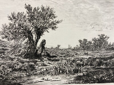 Edoardo Perotti: Paesaggio Campestre, Incisione Originale All'Acquaforte, Lovera, XIX Secolo