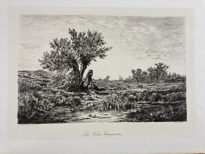 Edoardo Perotti: Paesaggio Campestre, Incisione Originale All'Acquaforte, Lovera, XIX Secolo