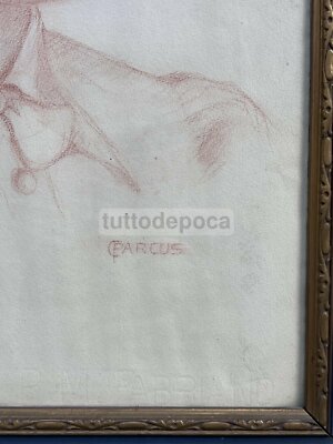 Arte Del Novecento: Ritratto Artistico A Matita Sanguigna, Firmato Parcus