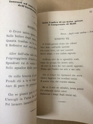 Basilicata, Potenza, Melfi, Vulture, Irpinia, Ofanto: Ferrovia Rocchetta, Araneo, 1886