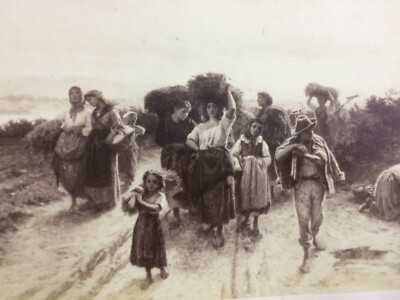 Il Ritorno Dai Campi: Scena Campestre Di Bartolomeo Giuliano. Foto Originale Di Luigi Montabone.