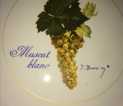 Enologia, Vini, Moscato Bianco, Distilleria Martini E Rossi, Piatto Pubblicitario