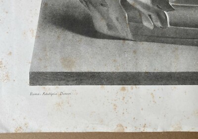 Biga Del Museo Vaticano, Stampa In Fototipia Di T. Scaraviglia, Stabilimento Danesi, Roma