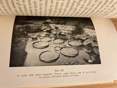 Vita Privata Delle Piante. Elio Baldacci. Milano, Bompiani, 1944