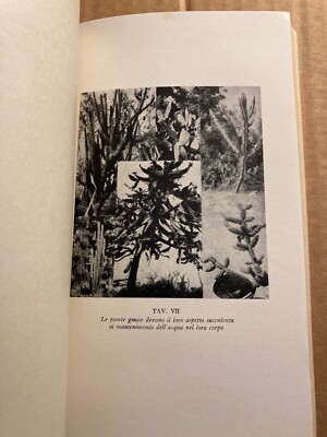 Vita Privata Delle Piante. Elio Baldacci. Milano, Bompiani, 1944