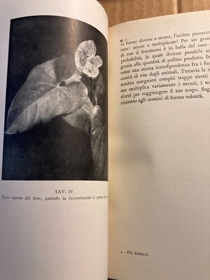 Vita Privata Delle Piante. Elio Baldacci. Milano, Bompiani, 1944