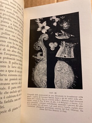 Vita Privata Delle Piante. Elio Baldacci. Milano, Bompiani, 1944