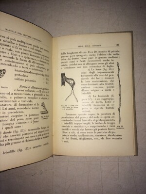 Agraria, Agricoltura: Manuale d'Epoca Per Il Meridione E Le Isole. Ortaggi, Agrumi, Olive E Vino