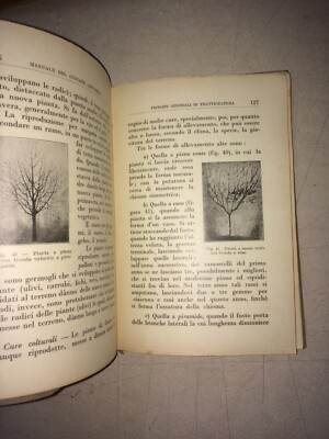 Agraria, Agricoltura: Manuale d'Epoca Per Il Meridione E Le Isole. Ortaggi, Agrumi, Olive E Vino