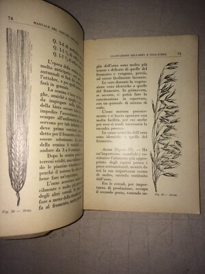 Agraria, Agricoltura: Manuale d'Epoca Per Il Meridione E Le Isole. Ortaggi, Agrumi, Olive E Vino