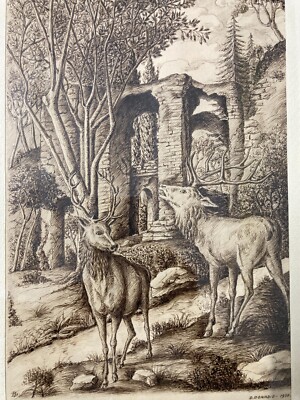 Paesaggio Campestre Con Cervi E Rovine