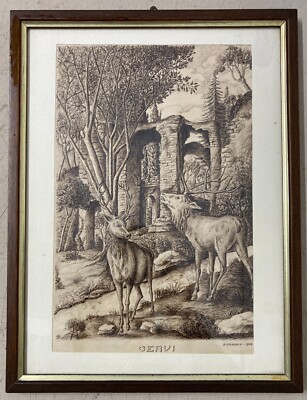 Paesaggio Campestre Con Cervi E Rovine