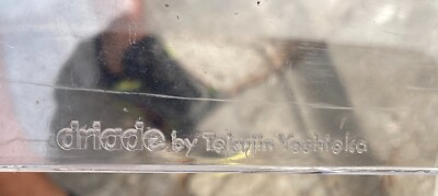 Quattro Sedie "Kiss Me Goodbye" Di Tokujin Yoshioka Per Driade