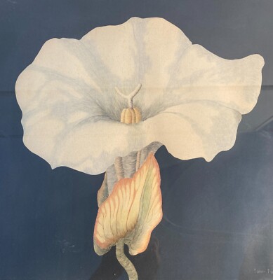 Fiori Franco Francini Tecnica Mista Su Carta 1974