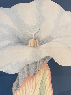 Fiori Franco Francini Tecnica Mista Su Carta 1974