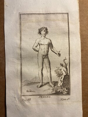 Arte, Mitologia, Simbologia, Allegoria: Montagna Penino. Antica Rara Incisione Dell'Ottocento