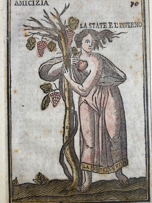 Mitologia: Allegoria Dell'Amicizia, Stagioni Estate E Inverno, Vino E Uva