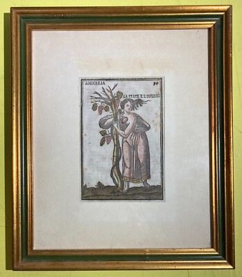 Mitologia: Allegoria Dell'Amicizia, Stagioni Estate E Inverno, Vino E Uva