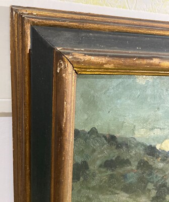 Arte Contemporanea: Carlo Fortunato Rosti, Paesaggio Lacustre ("Il Canneto")