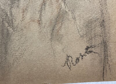 Rosita Tixi, "Testa Di Vecchio", Due Disegni Originali, Genova, Anni '30