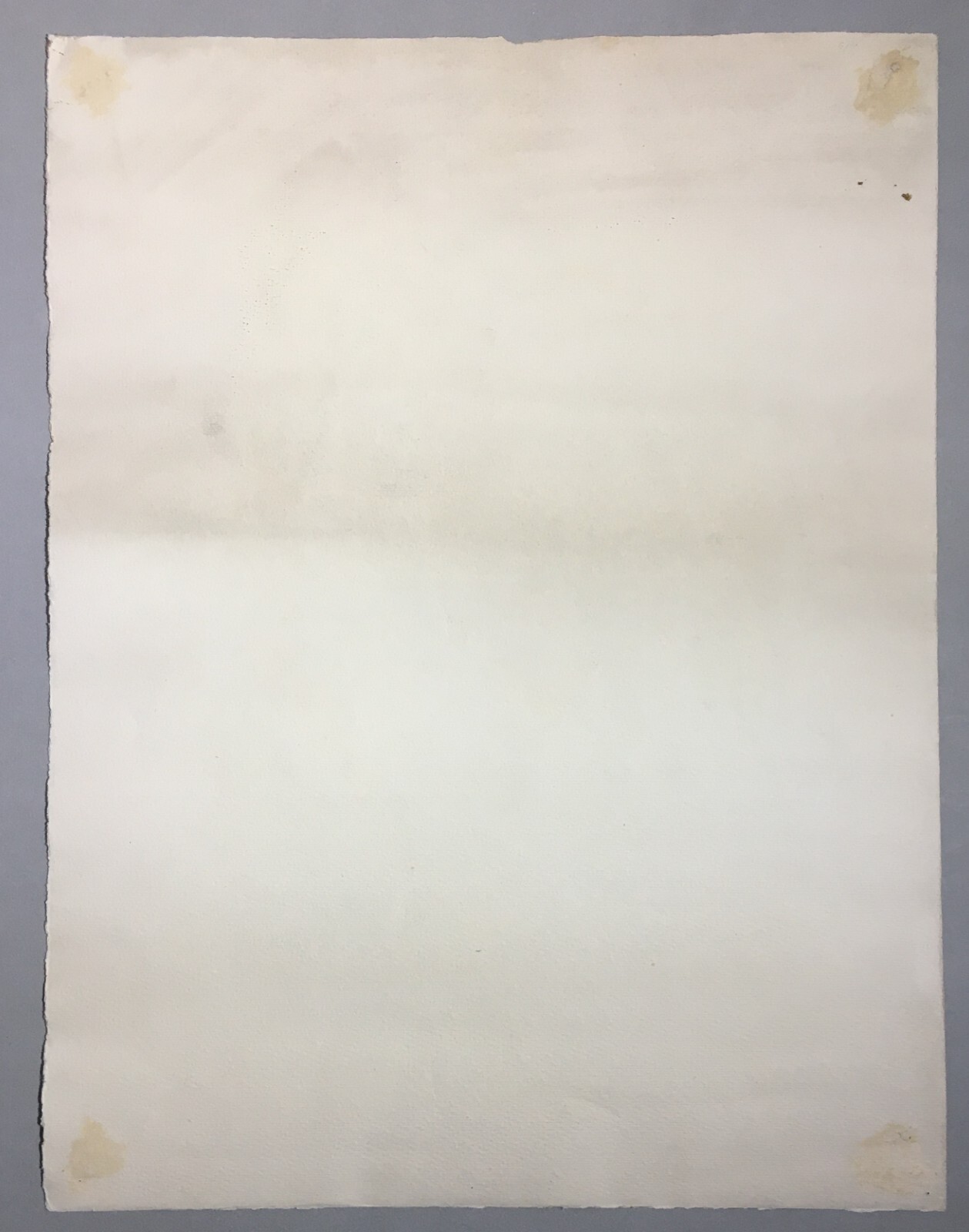 Arte Contemporanea   Natura Morta Con Aglio   Dipinto d'Epoca   Tempera   1950   Simoni