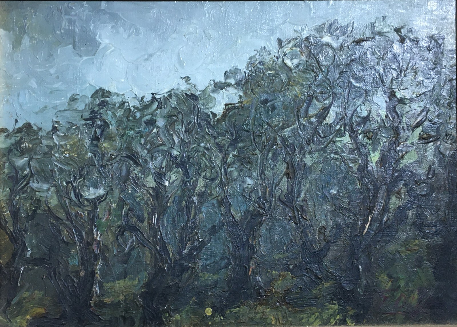 Arte Del '900, Puglia: Giuseppe Di Fino   Ulivi In Autunno (Mostra Maggio Di Bari)
