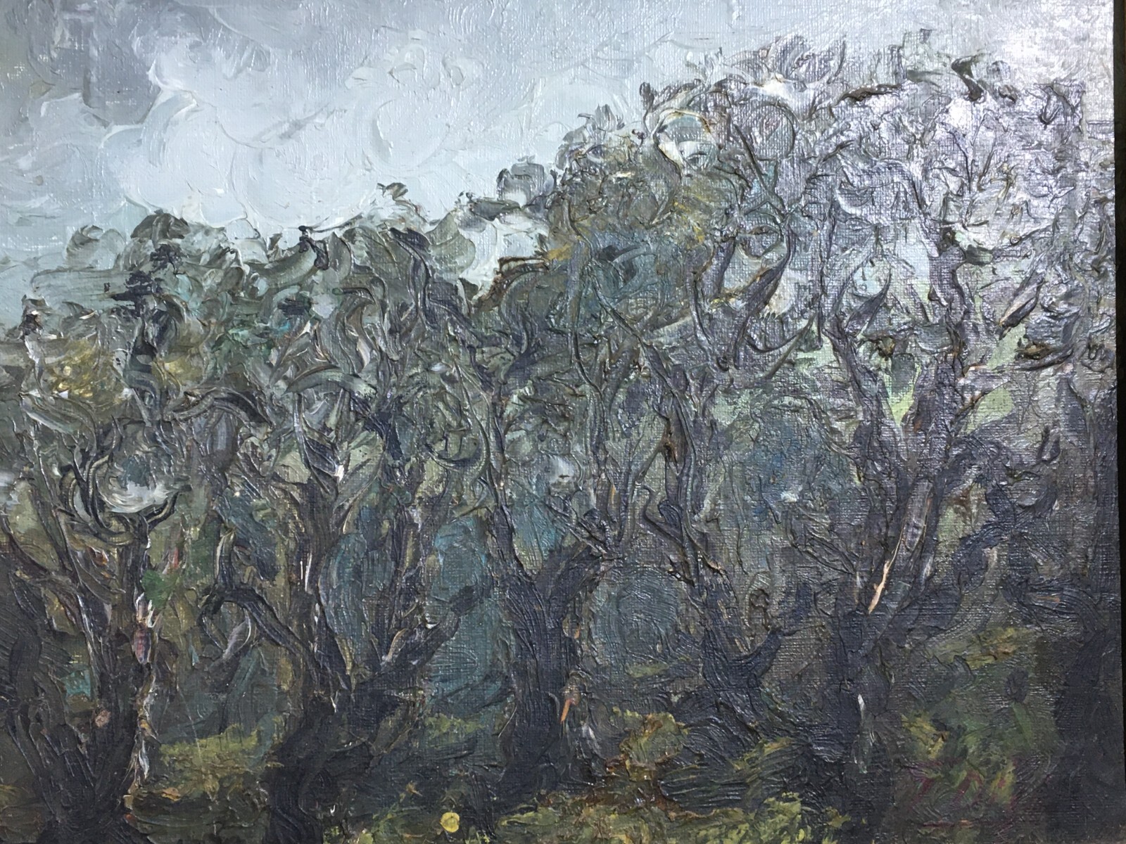 Arte Del '900, Puglia: Giuseppe Di Fino   Ulivi In Autunno (Mostra Maggio Di Bari)