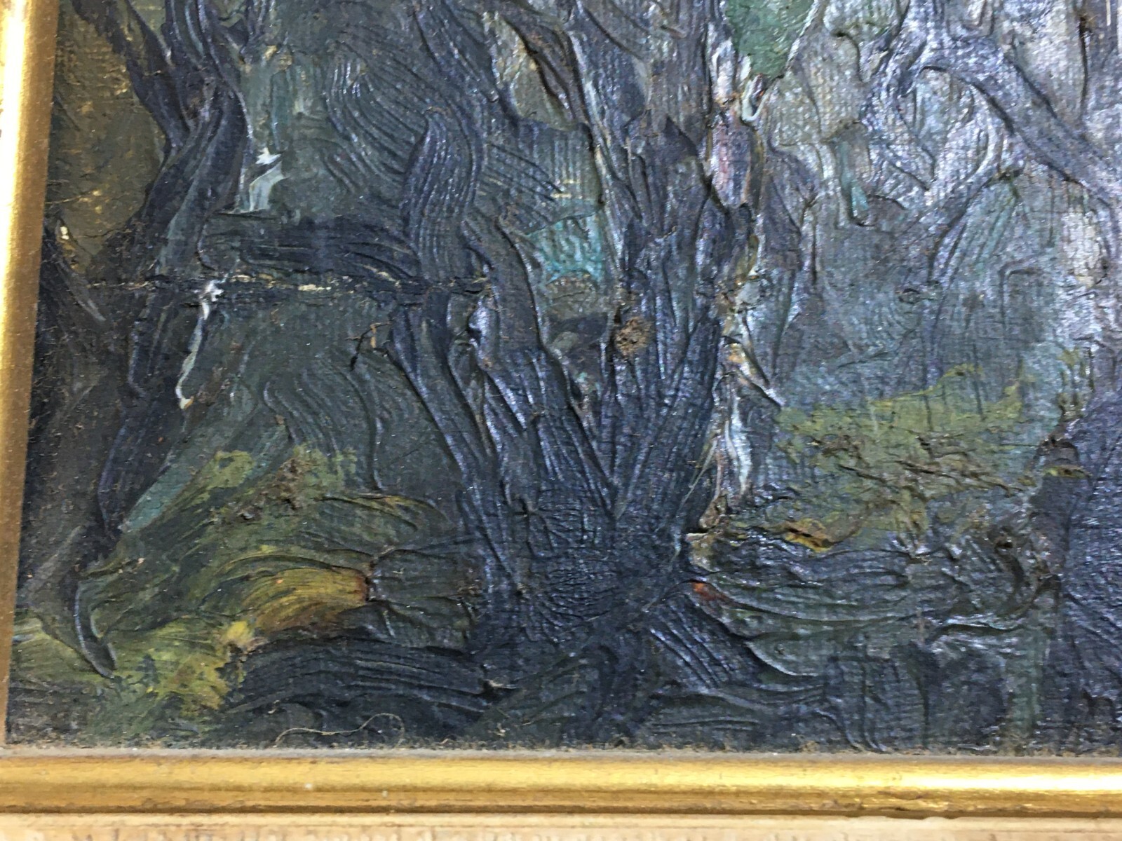 Arte Del '900, Puglia: Giuseppe Di Fino   Ulivi In Autunno (Mostra Maggio Di Bari)