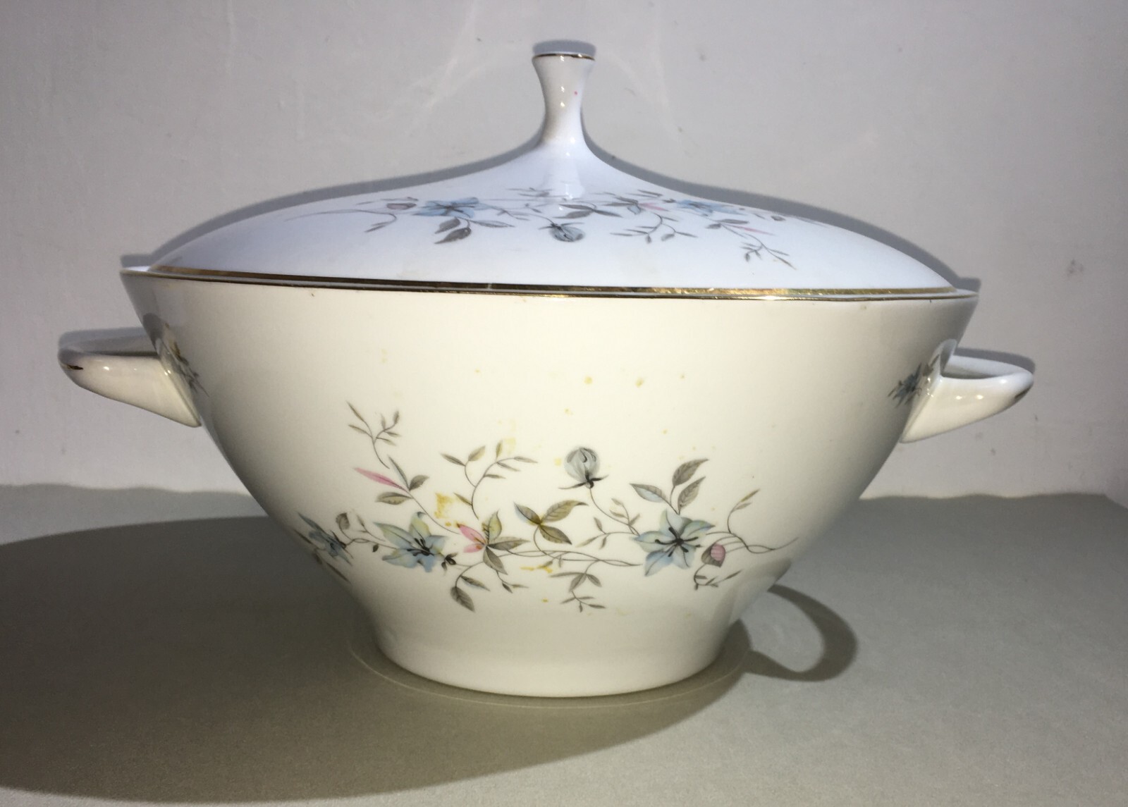 Soprammobile Decorativo, Porcellana Di Boemia, Zuppiera, Decori Floreali, Coperchio