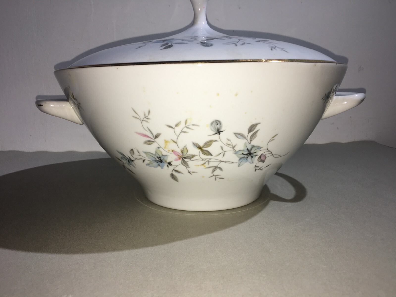 Soprammobile Decorativo, Porcellana Di Boemia, Zuppiera, Decori Floreali, Coperchio