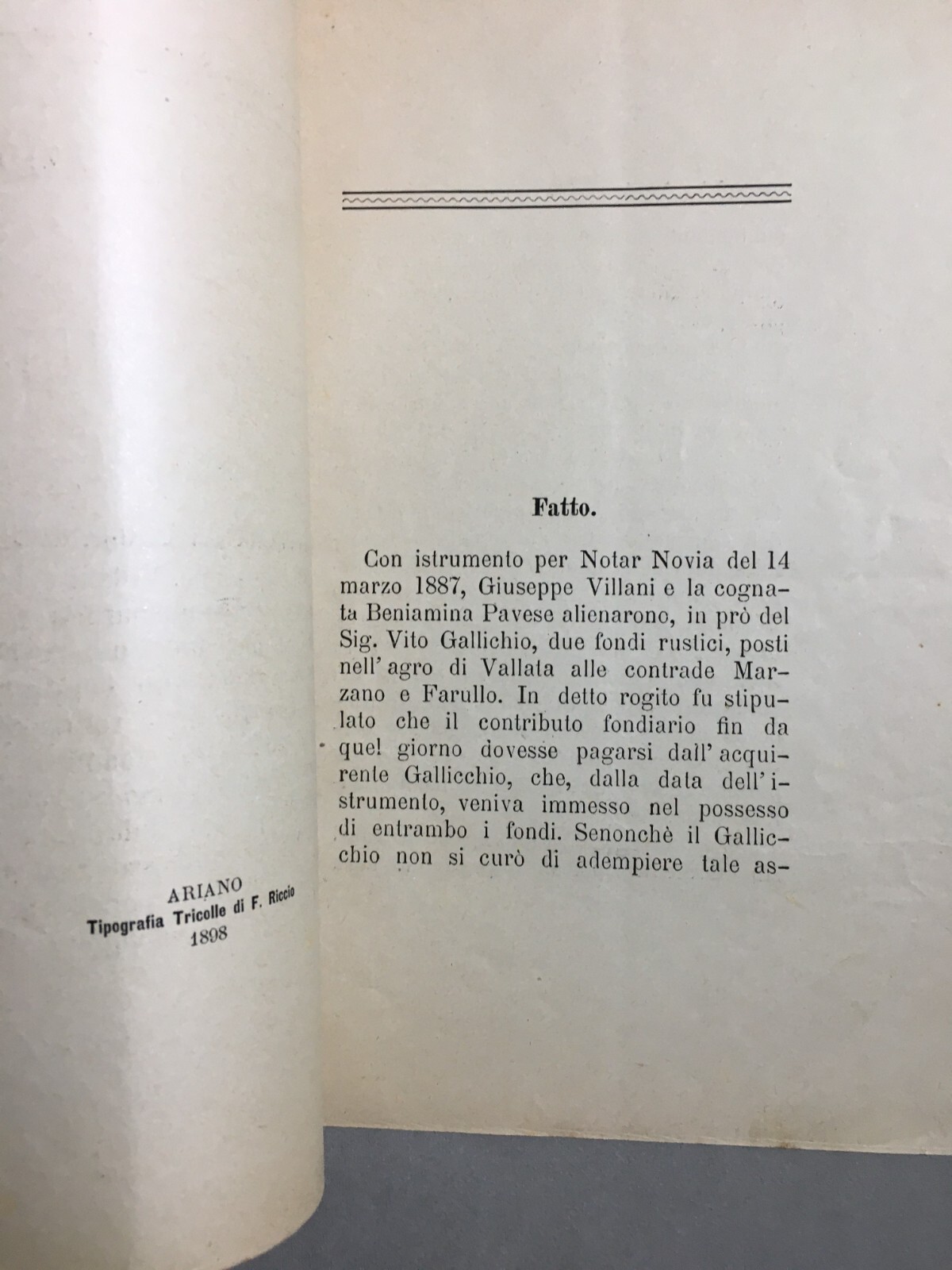 Giurisprudenza Irpina: Brevi Osservazioni Dell'Avv. Adolfo Del Conte, 1898
