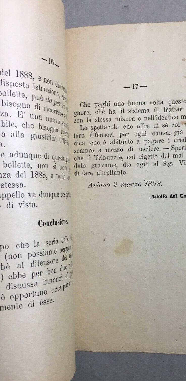 Giurisprudenza Irpina: Brevi Osservazioni Dell'Avv. Adolfo Del Conte, 1898