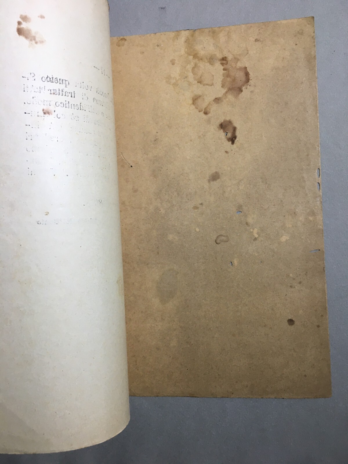 Giurisprudenza Irpina: Brevi Osservazioni Dell'Avv. Adolfo Del Conte, 1898