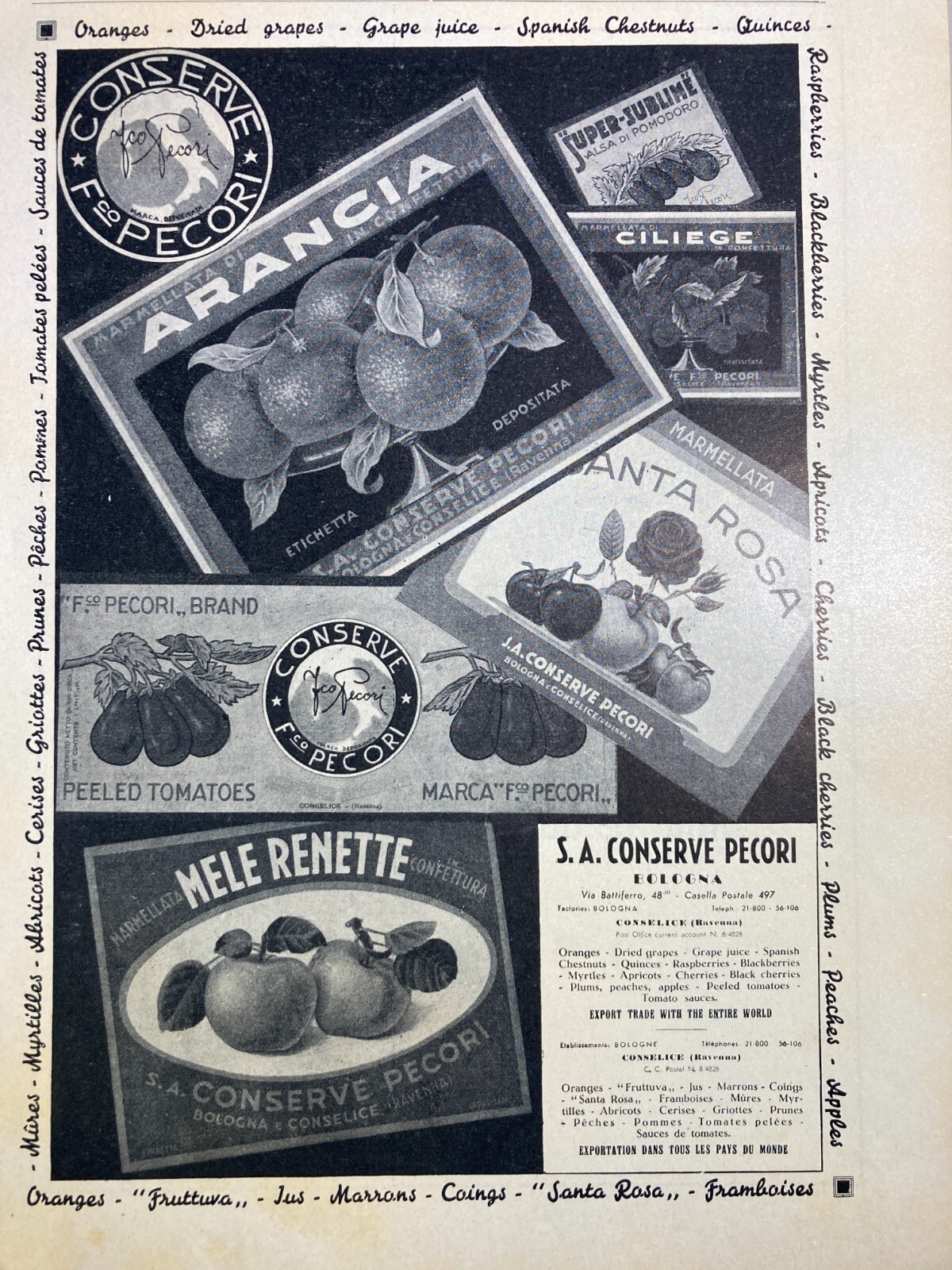 Cucina, Frutta, Pomodori, Conserve: Pubblicità d'Epoca Pecori, Bologna, Carapelli