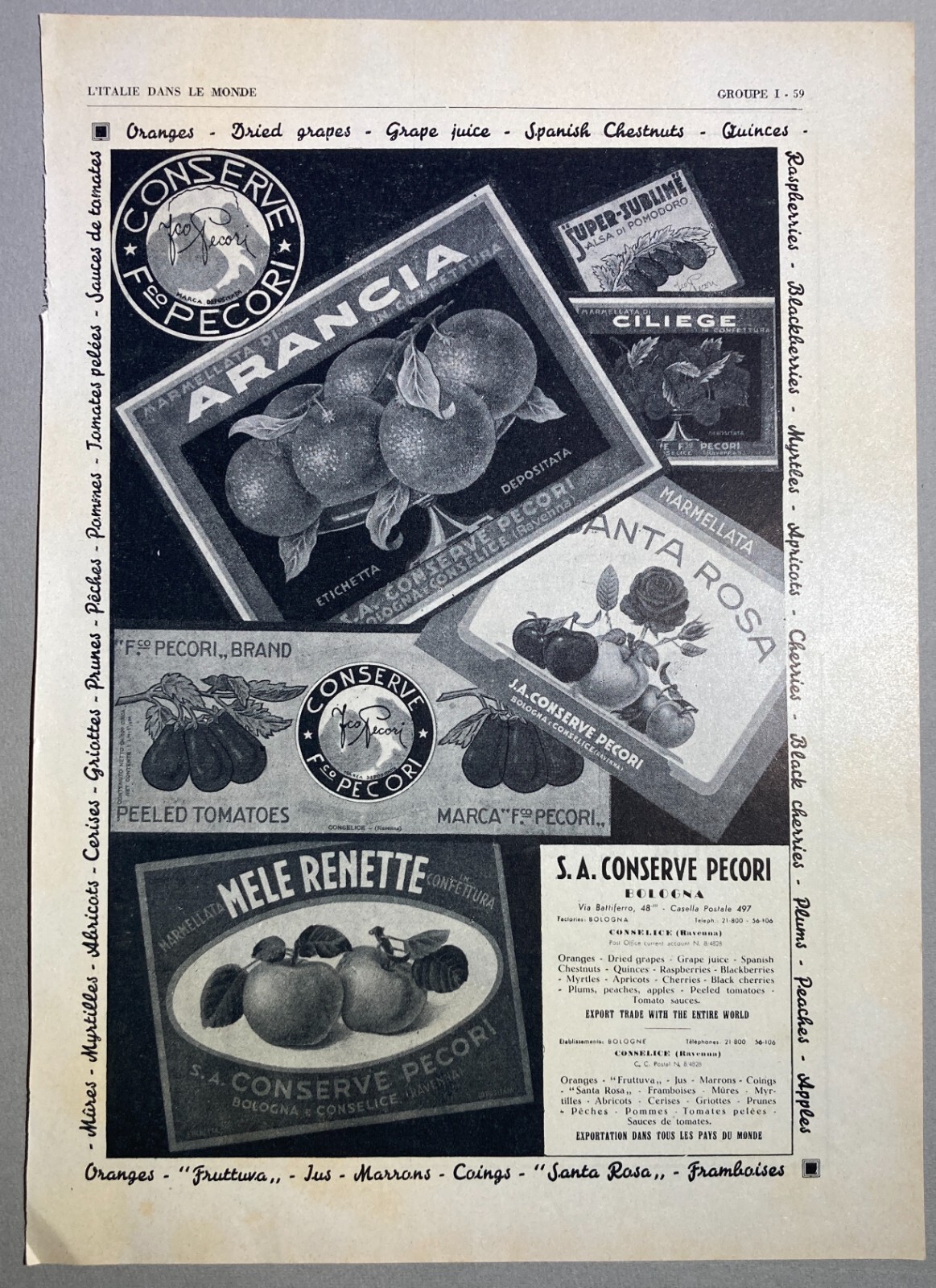 Cucina, Frutta, Pomodori, Conserve: Pubblicità d'Epoca Pecori, Bologna, Carapelli