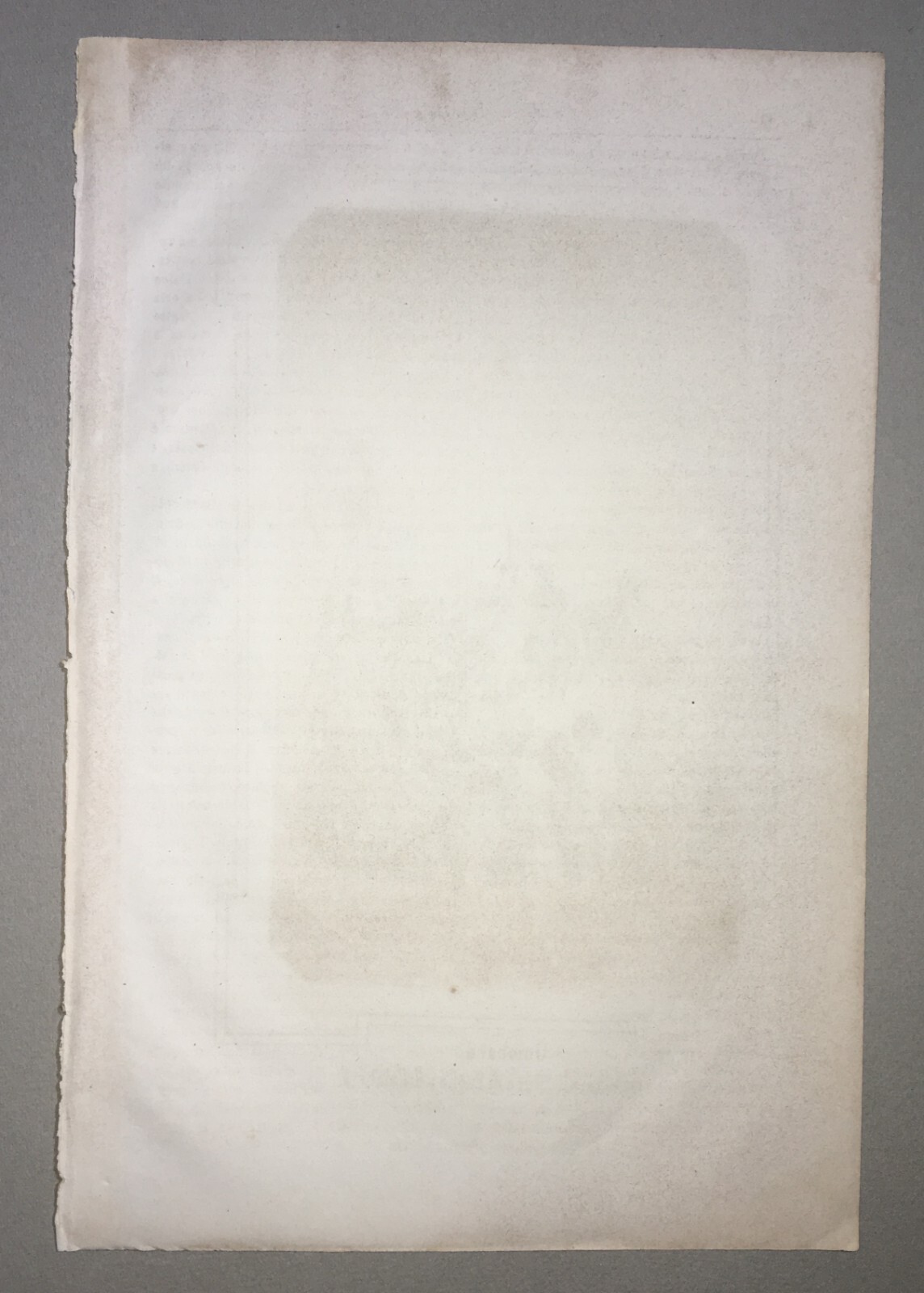 Puglia, Calabria, Militaria: Proclamazione Di Guiscardo. Antica Litografia, Rossotti