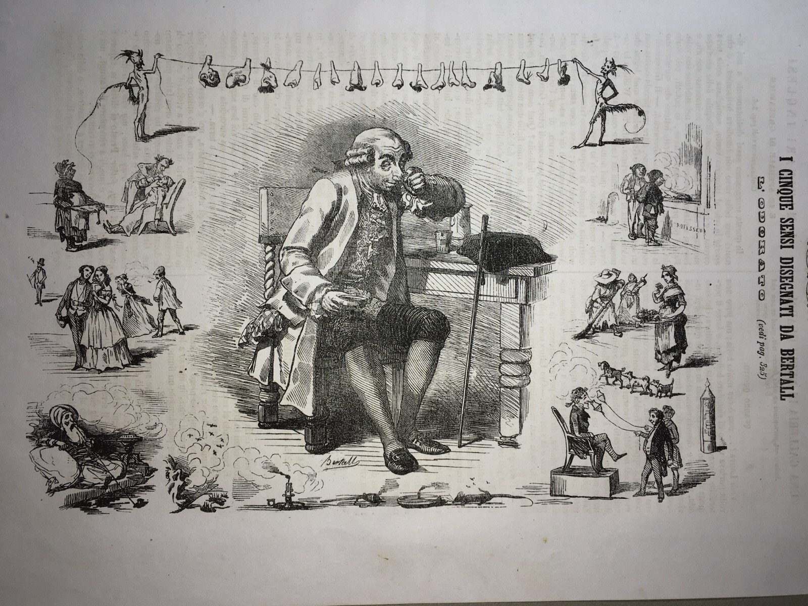 Arte, Umorismo, Caricatura, Illustrazione Antica: Bertall, I Sensi, L'Odorato, Naso E Nasi
