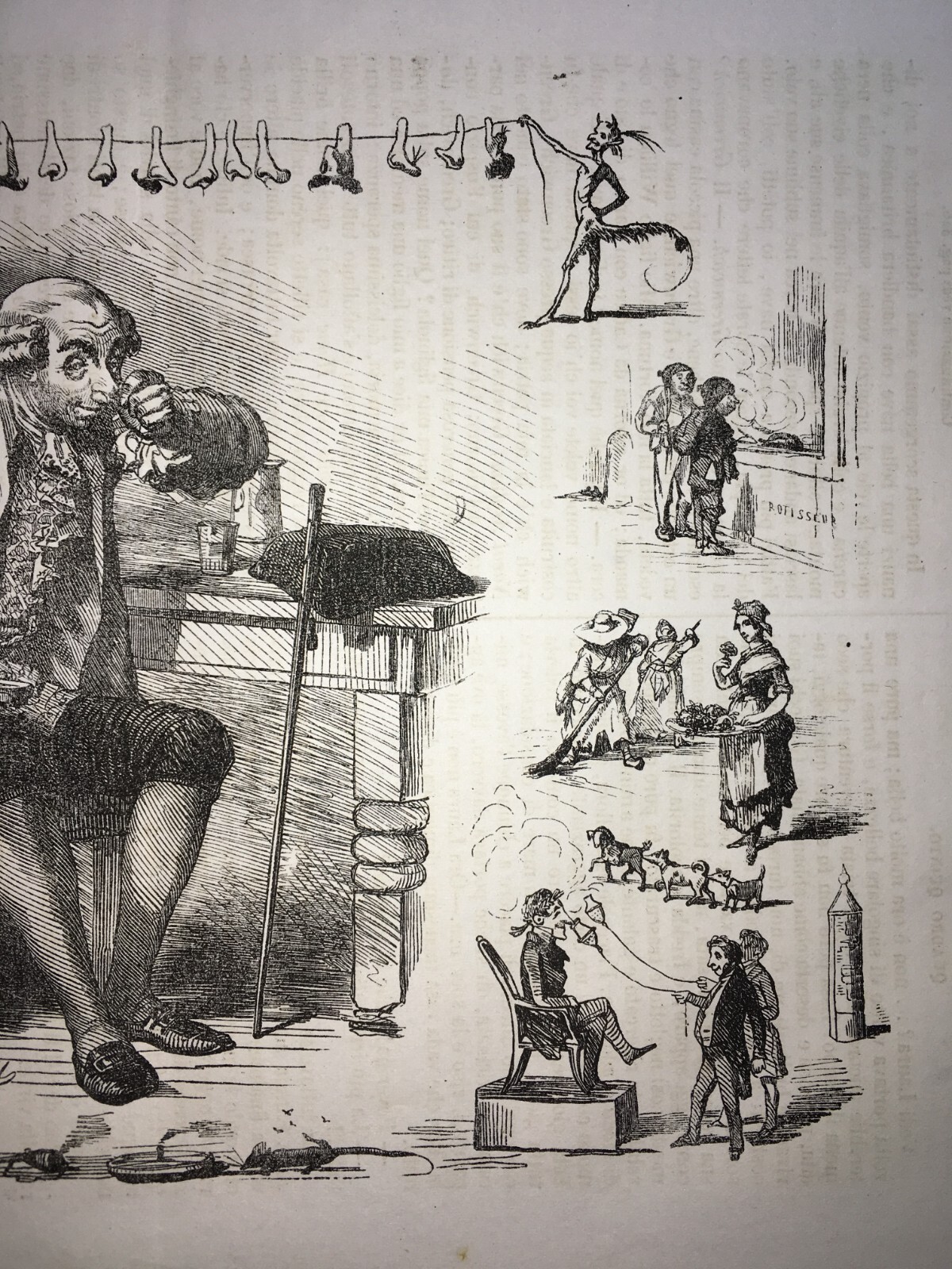 Arte, Umorismo, Caricatura, Illustrazione Antica: Bertall, I Sensi, L'Odorato, Naso E Nasi