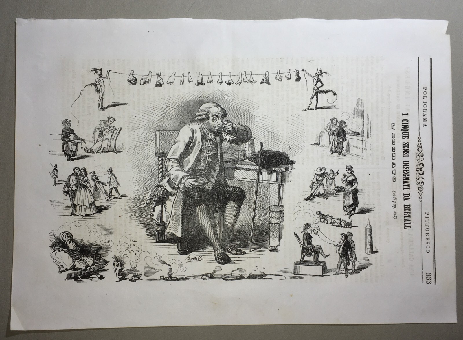 Arte, Umorismo, Caricatura, Illustrazione Antica: Bertall, I Sensi, L'Odorato, Naso E Nasi