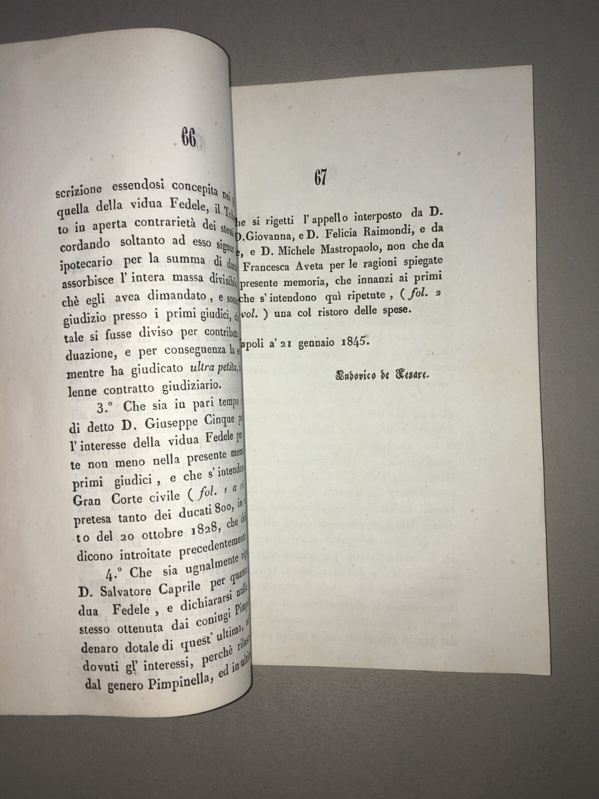 Giuridica Napoletana: Antica Allegazione   Fedele, Cinque, Caprile, Raimondi, Aveta   1845