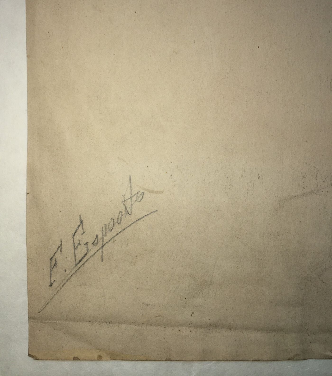 Scheletro E Teschio, Studio Anatomico. Disegno Acquarellato Di F. Esposito.