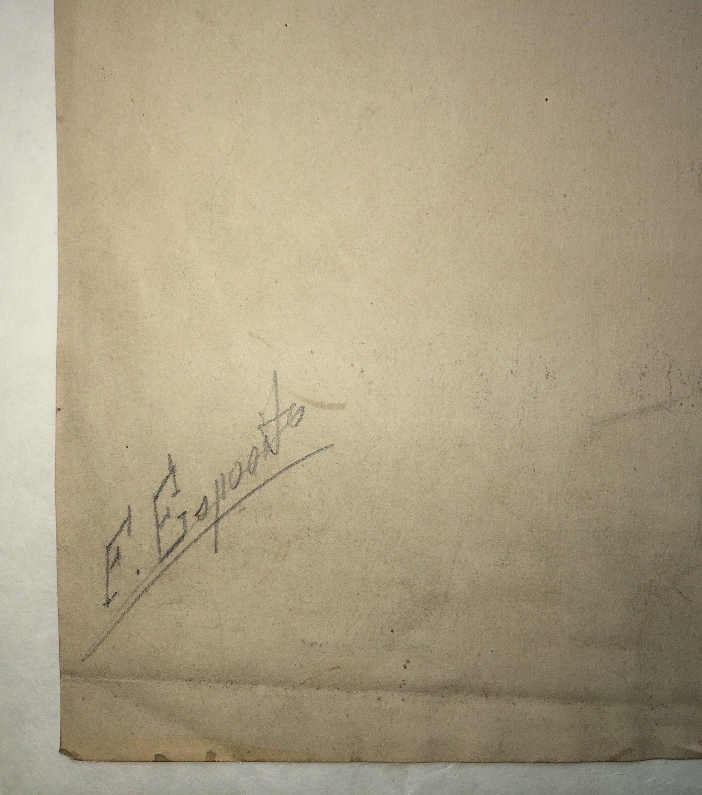 Scheletro E Teschio, Studio Anatomico. Disegno Acquarellato Di F. Esposito.