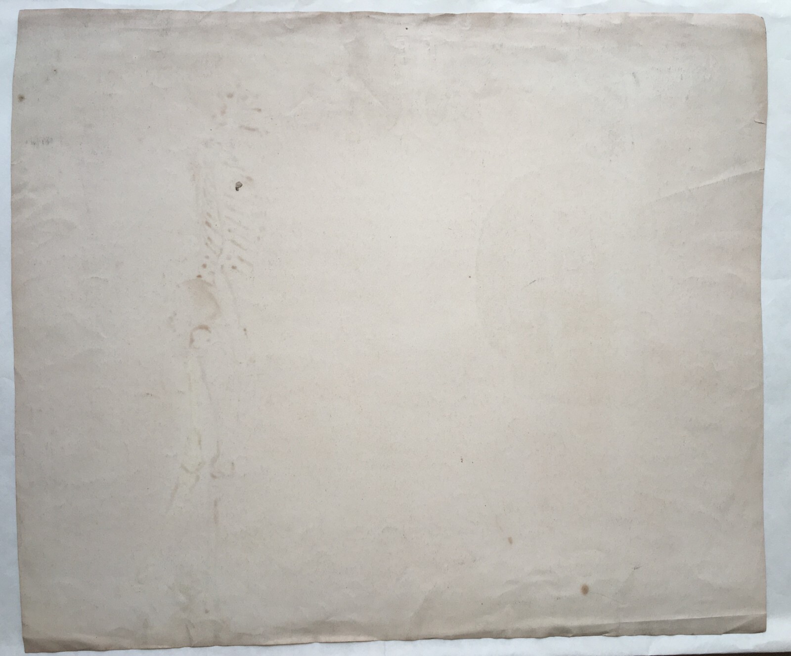 Scheletro E Teschio, Studio Anatomico. Disegno Acquarellato Di F. Esposito.