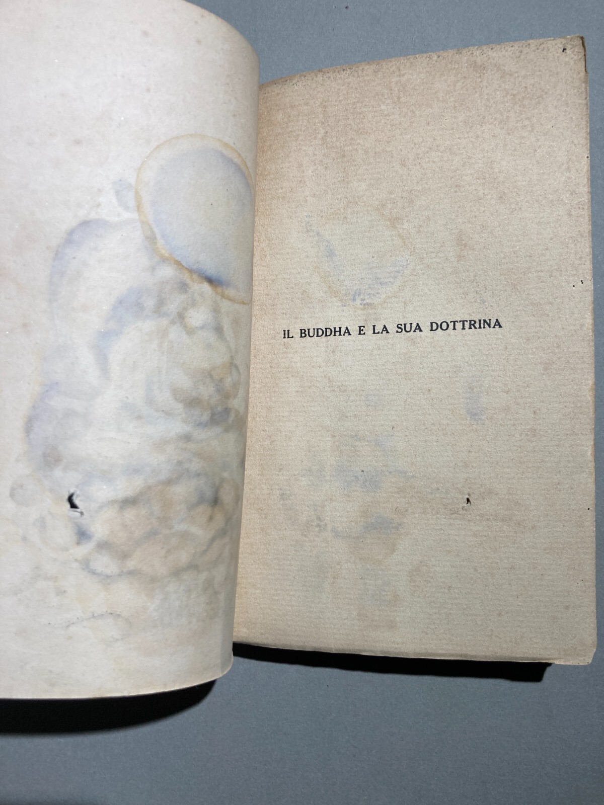 Il Buddha E La Sua Dottrina   Alessandro Costa   Edizione Bocca