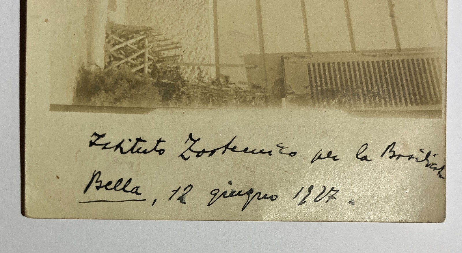 Basilicata, Potenza, Bella, Istituto Zootecnico, 1927, Antica Foto Di Gruppo d'Epoca