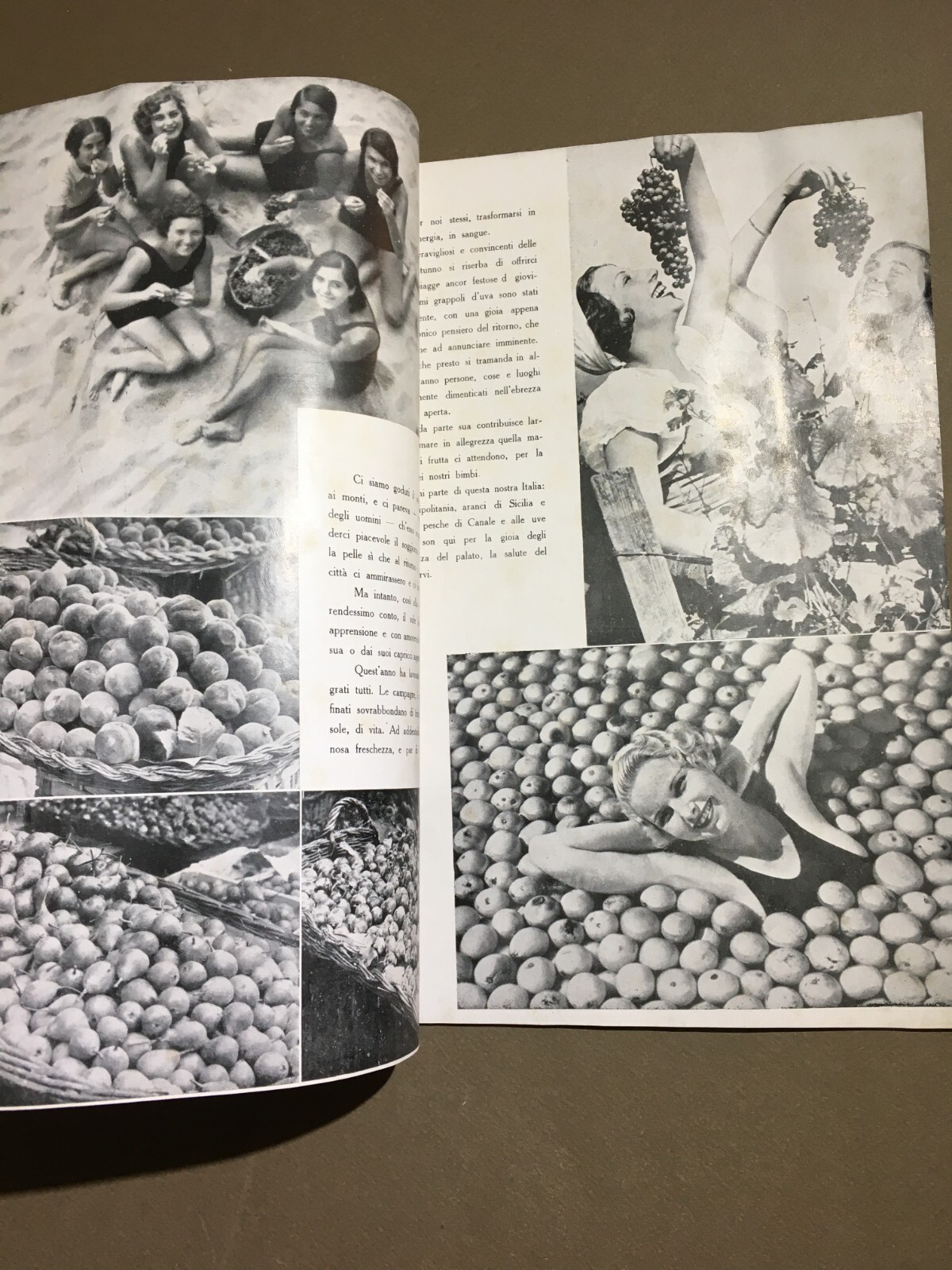 Moda, Eleganza, Abbigliamento, Sartoria, Tessuti: Rivista Snob Pubblicitaria, 1933