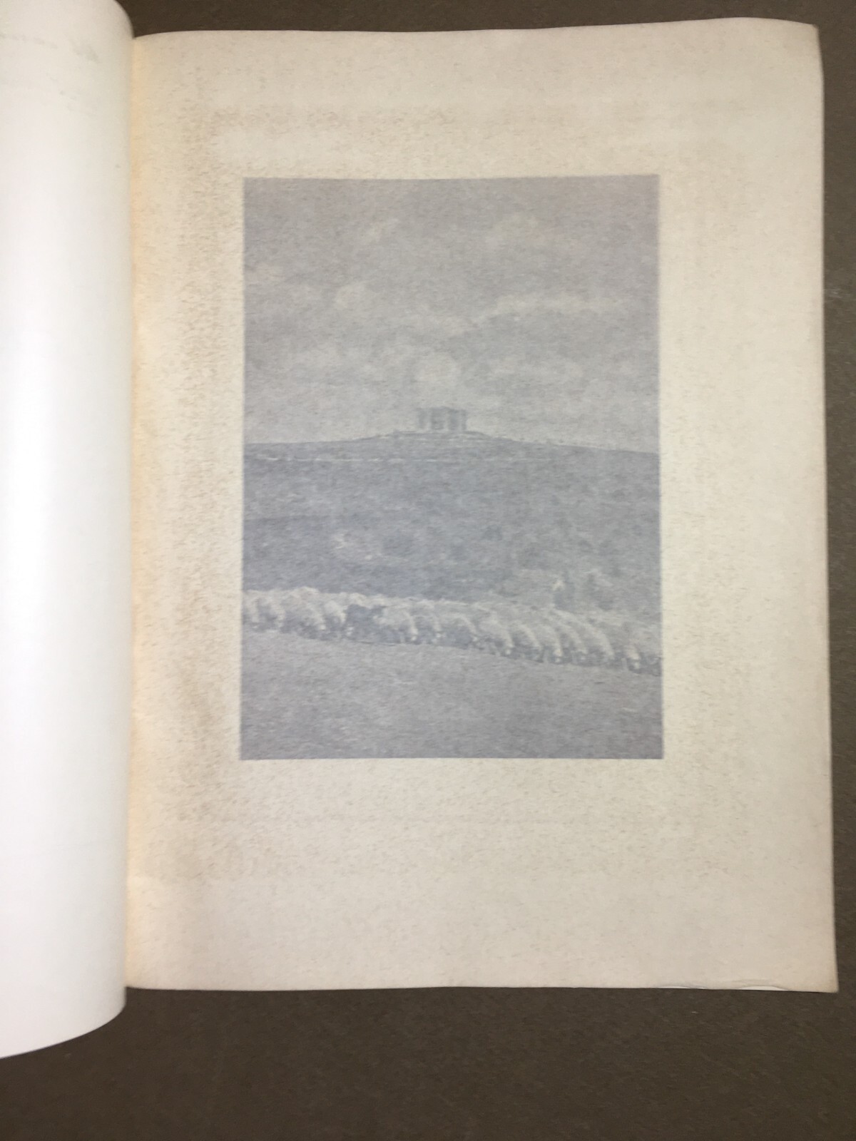 Puglia: Castel Del Monte. Edizione Illustrata. Pasquale Cafaro. Con Dedica Autografa. 1937.