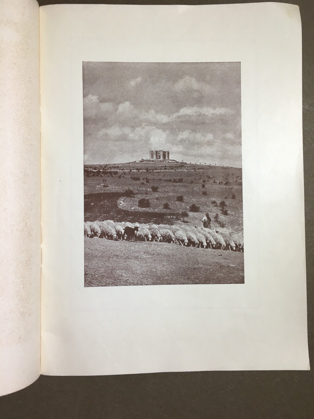 Puglia: Castel Del Monte. Edizione Illustrata. Pasquale Cafaro. Con Dedica Autografa. 1937.