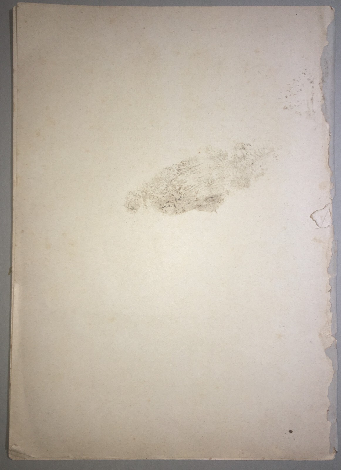Abruzzo, Vasto, Nobiltà Napoletana, Principe d'Avalos, Mirelli, Caturano, Eredità