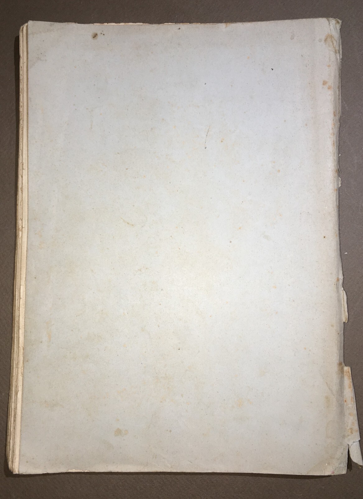 Abruzzo, Vasto, Nobiltà Napoletana, Principe d'Avalos, Mirelli, Caturano, Eredità
